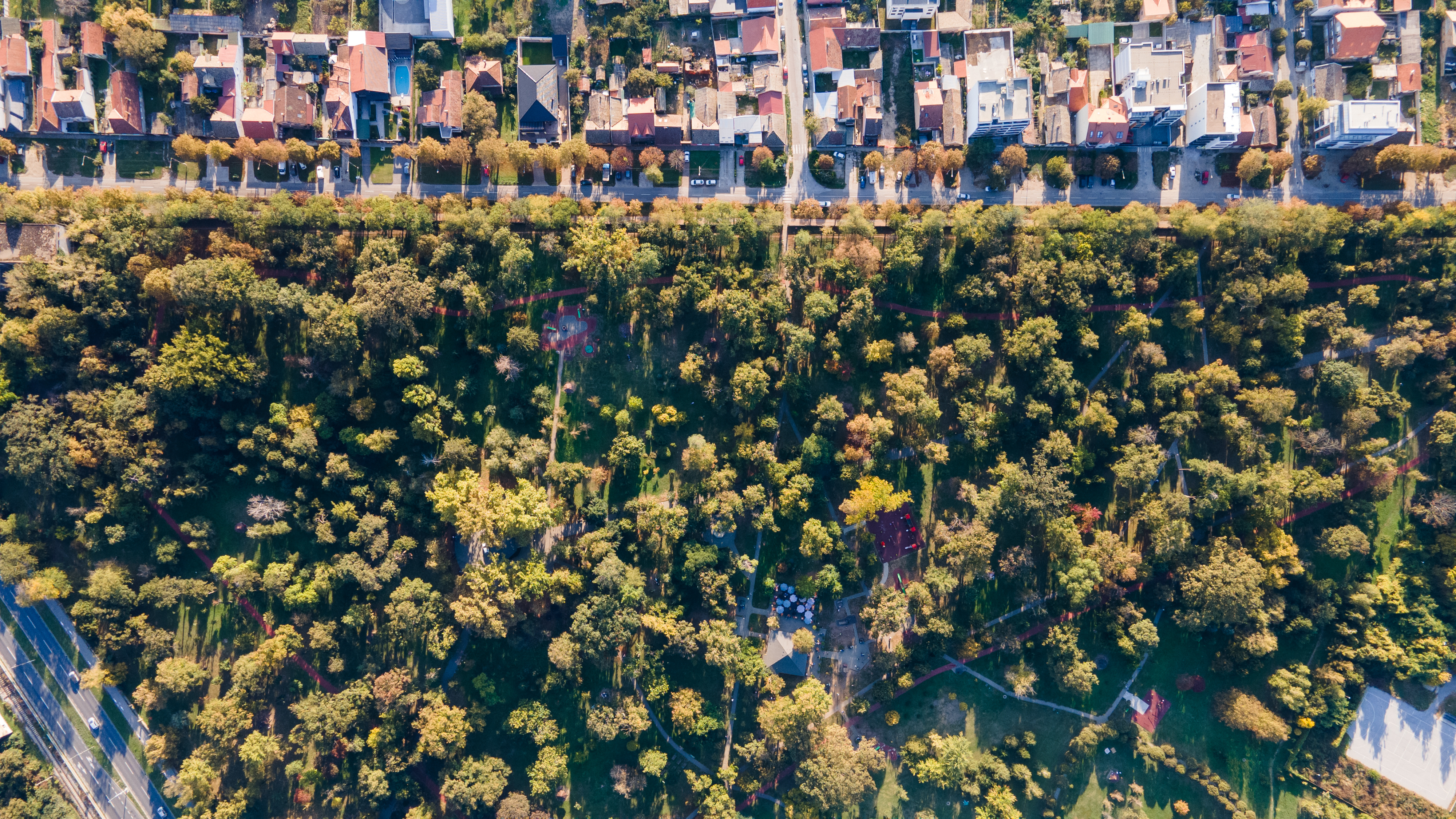 Suburban Canopy