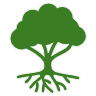 Urban Forestry